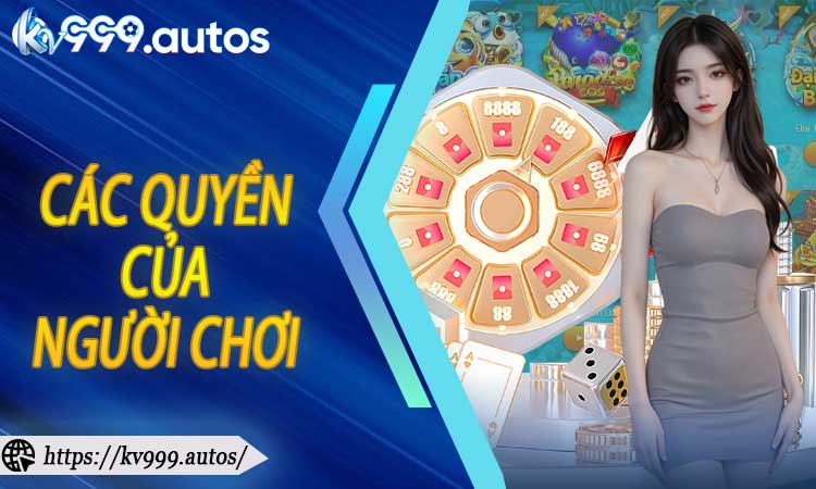 Các quyền của người chơi liên quan đến quyền riêng tư
