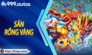 Săn Rồng Vàng
